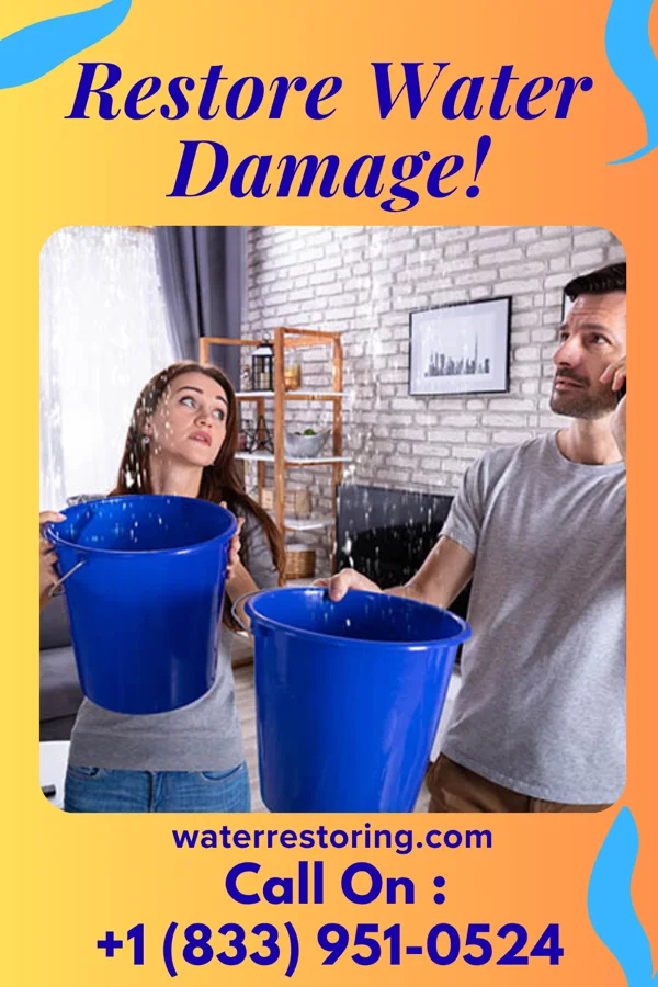 water restoration Sentinel Storm Damage Experts Partridge
