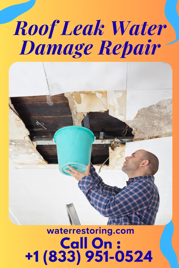 Roof Leak Water Damage Repair in Partridge, KS