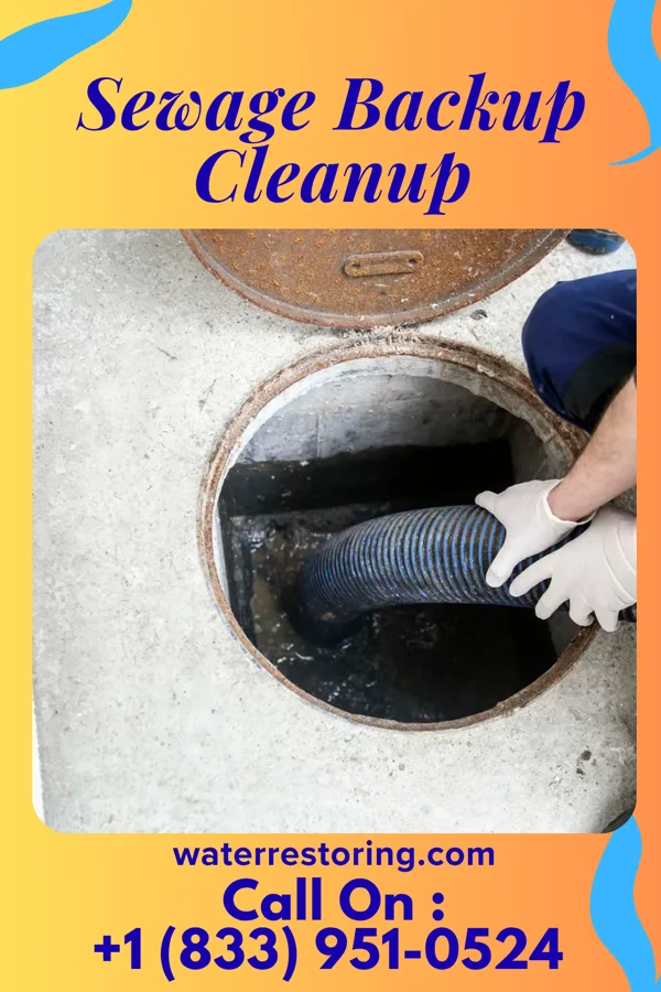 Sewage Backup Cleanup in Partridge, KS